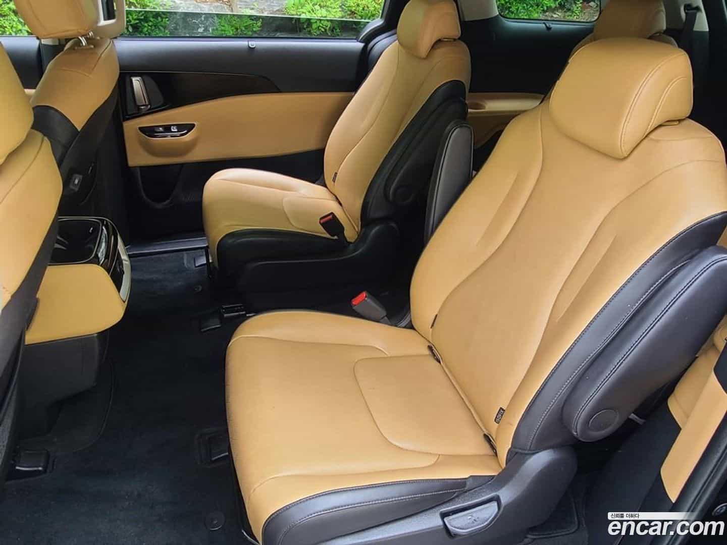 Canival Kia 2022.5-OPTION-015
