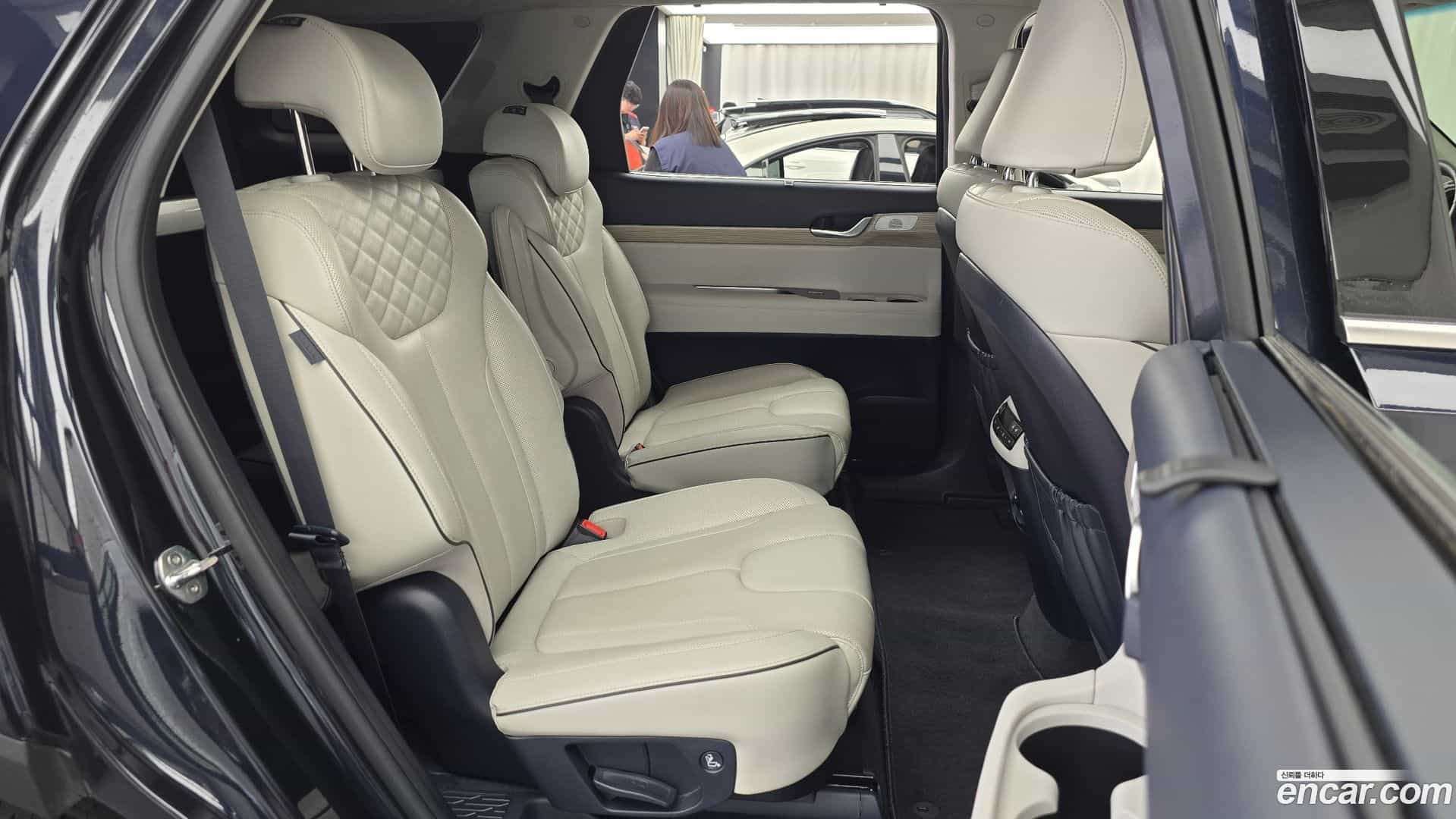 Palisade Hyundai 2019.0-OPTION-015