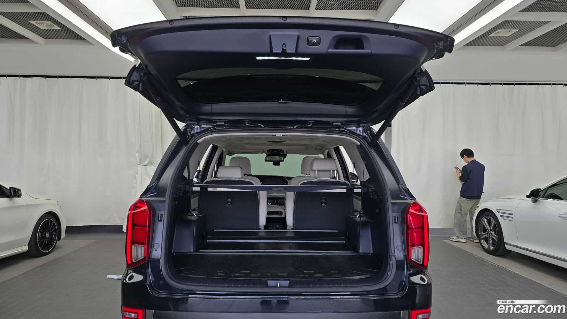 Palisade Hyundai 2019.0-OPTION-024