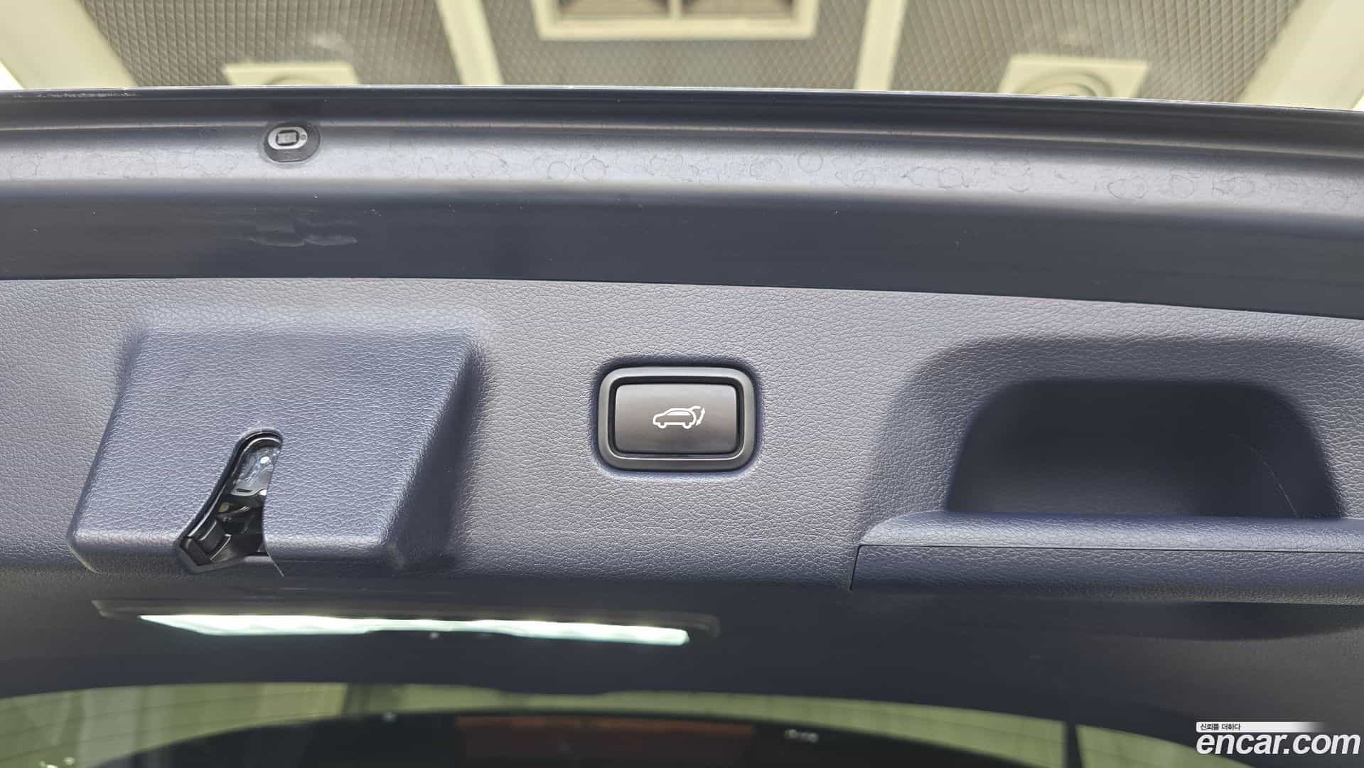 Palisade Hyundai 2019.0-OPTION-040