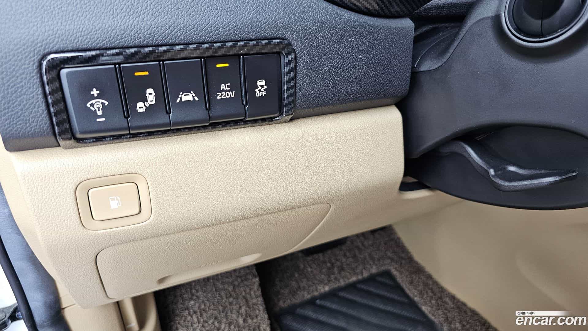 Canival Kia 2018.7-OPTION-018