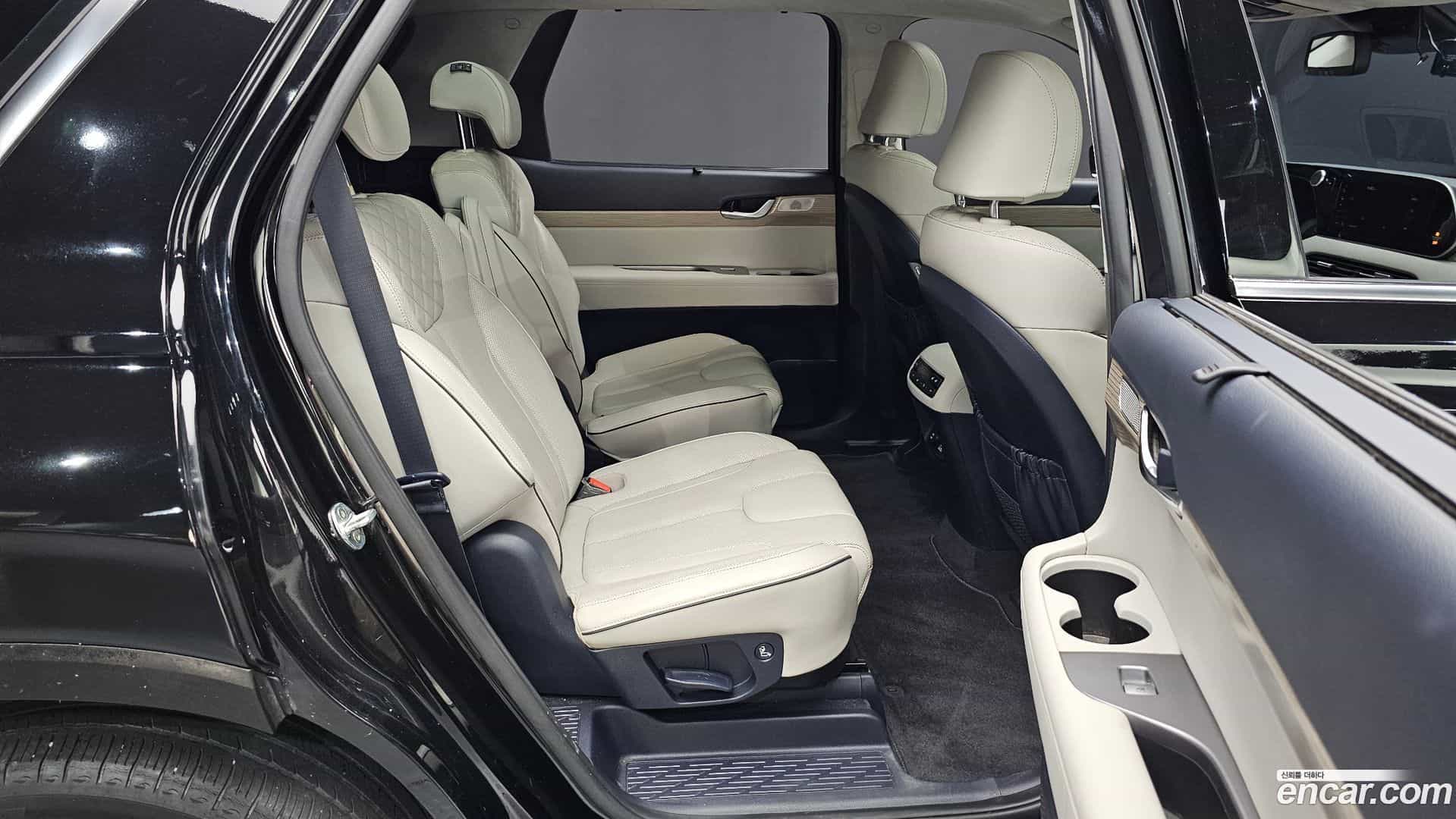 Palisade Hyundai 2020.4-OPTION-015