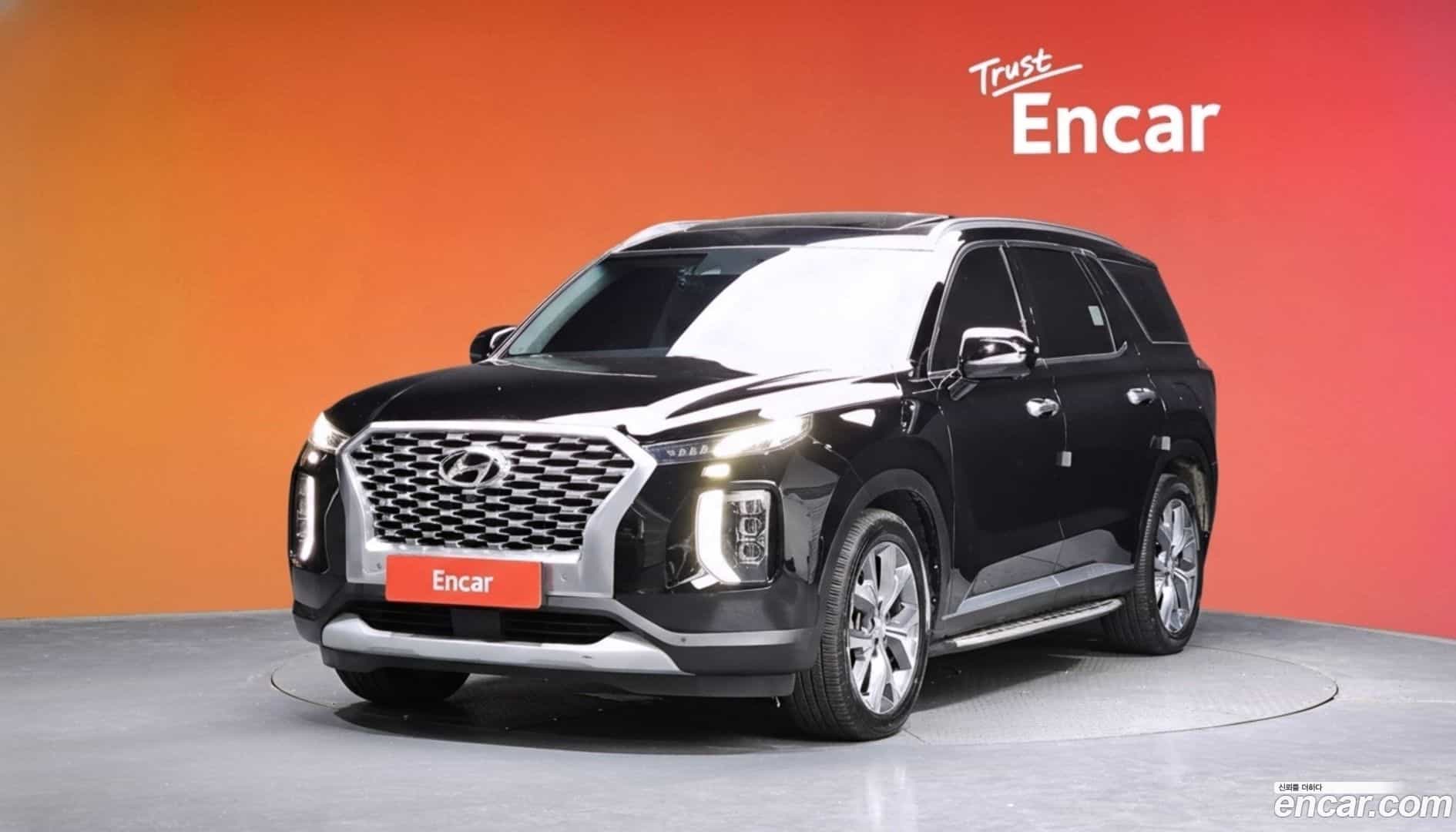Palisade Hyundai 2020.4-DIAG2-001