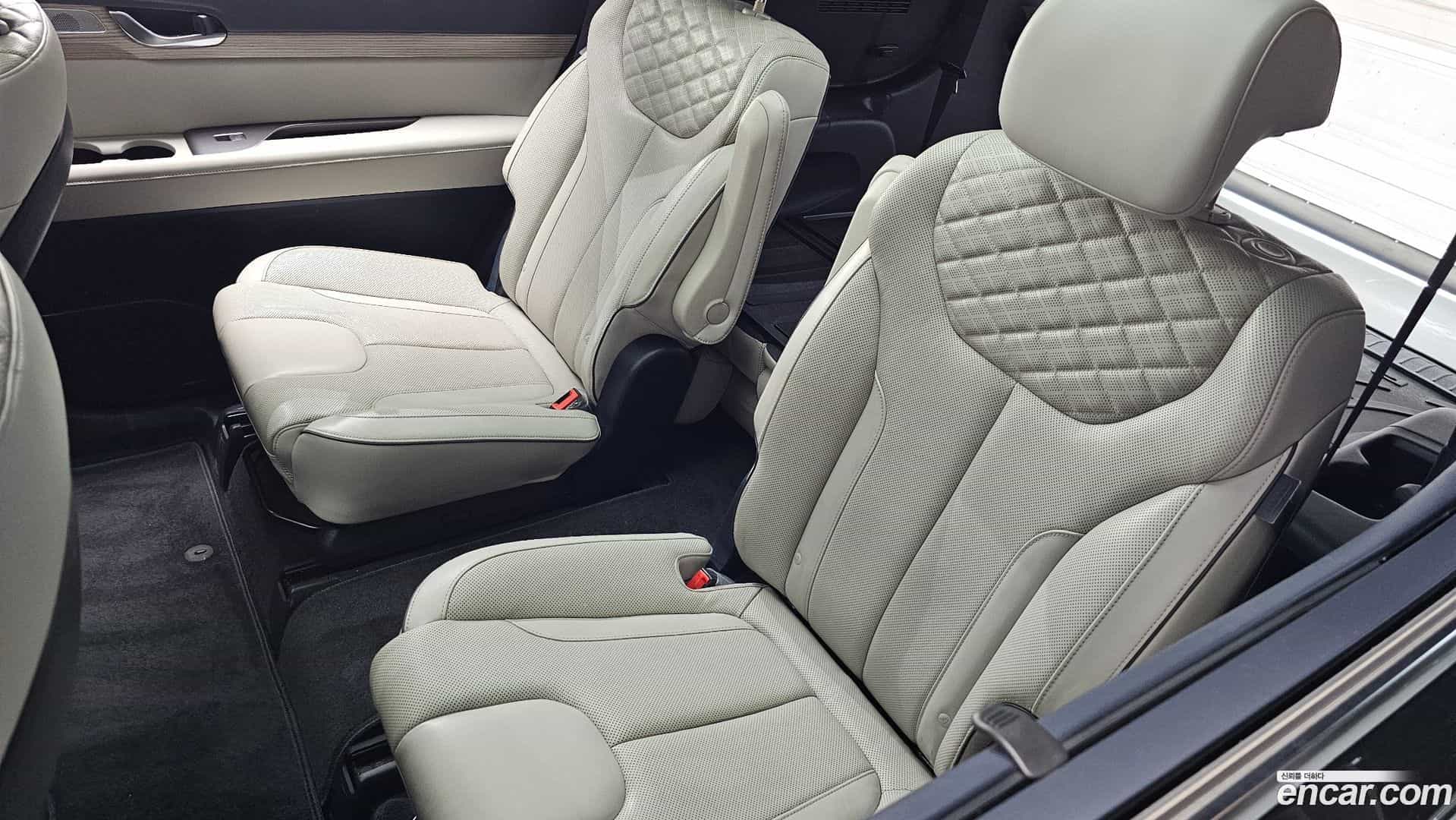 Palisade Hyundai 2020.4-OPTION-049