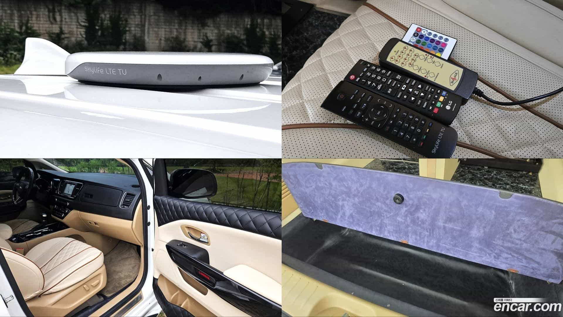 Canival Kia 2018.11-OPTION-023