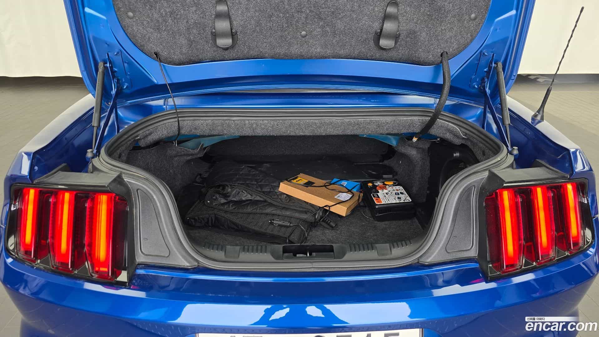 Mustang Ford 2017.11-OPTION-024