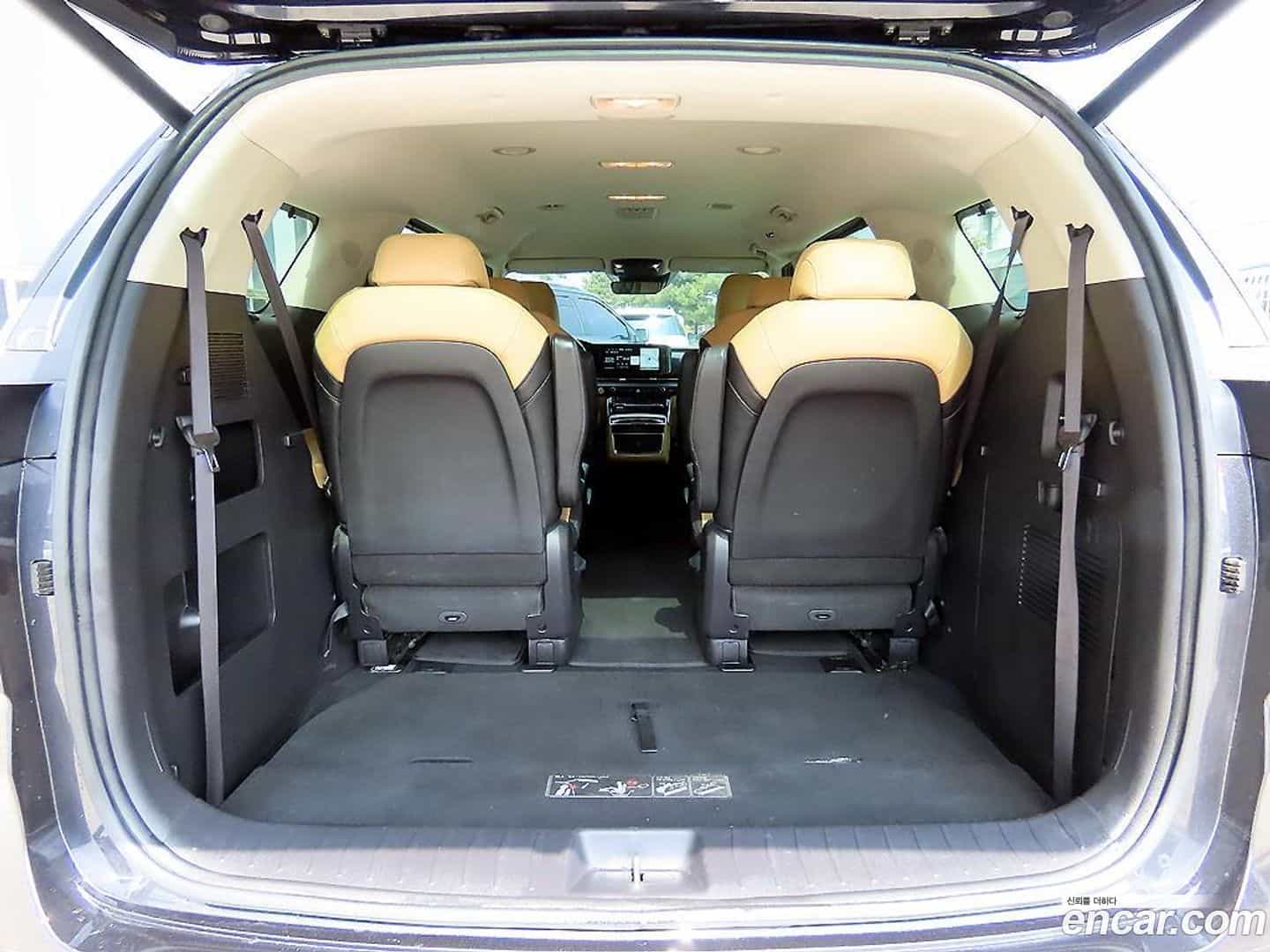 Canival Kia 2020.11-OPTION-021