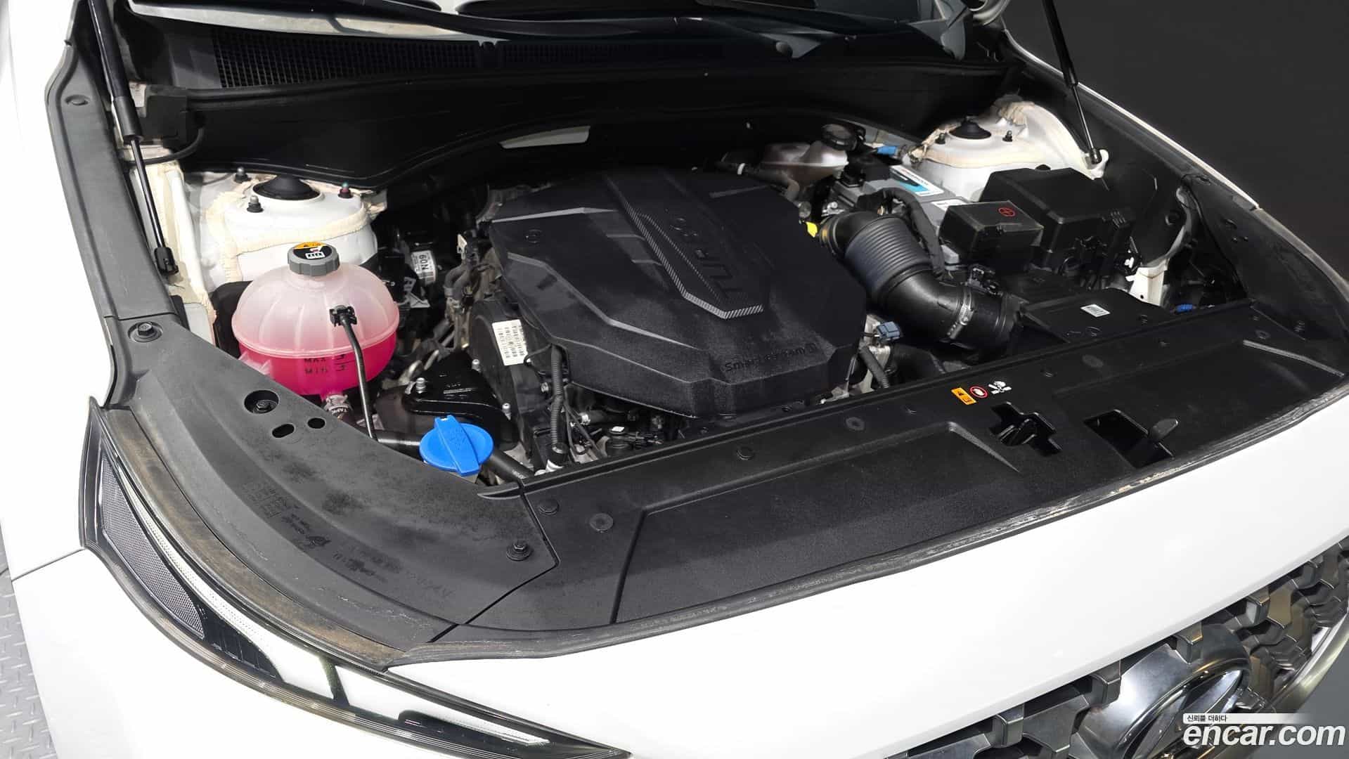 Santafe Hyundai 2020.11-OUTER-006