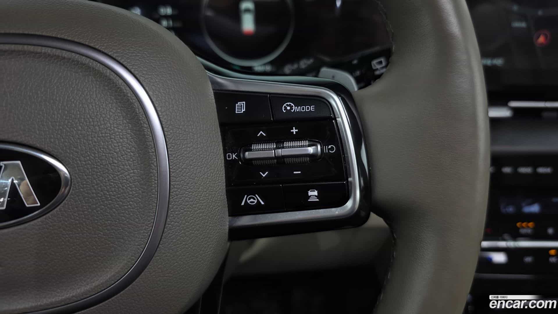 Canival Kia 2021.4-OPTION-021