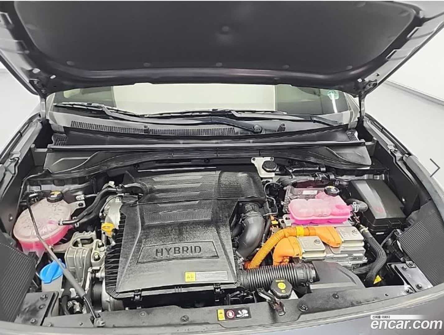 Niro Kia 2021.3-OUTER-006
