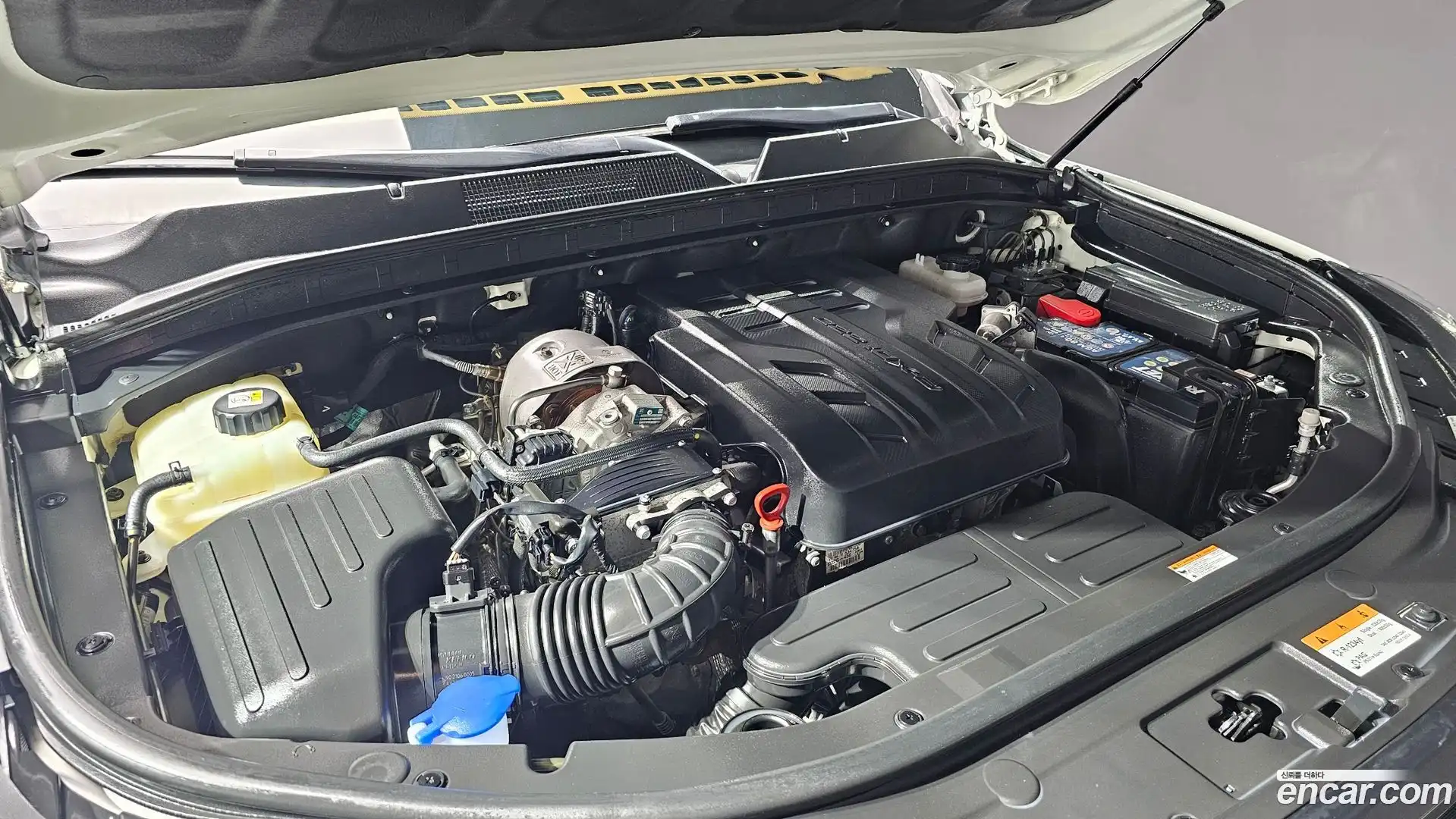 Rexton KG Mobility 2022.5-OUTER-006