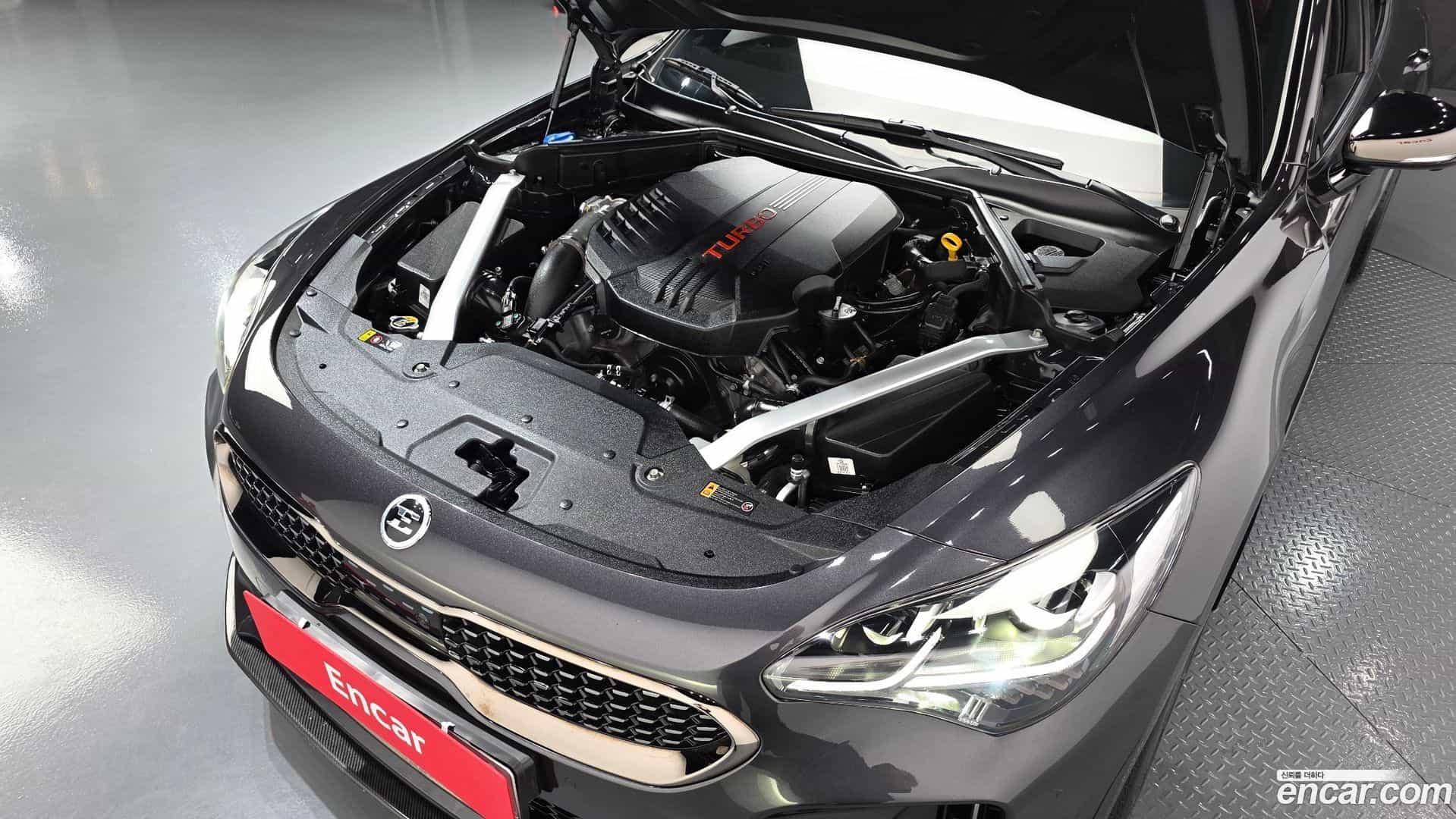 Stinger Kia 2019.3-OUTER-006