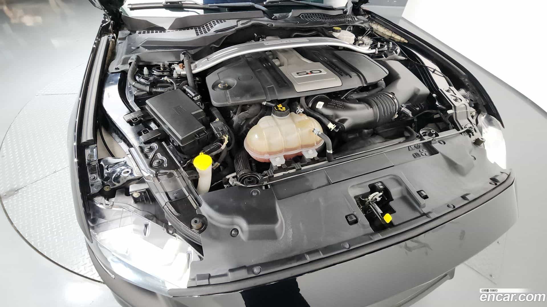 Mustang Ford 2018.7-OUTER-006