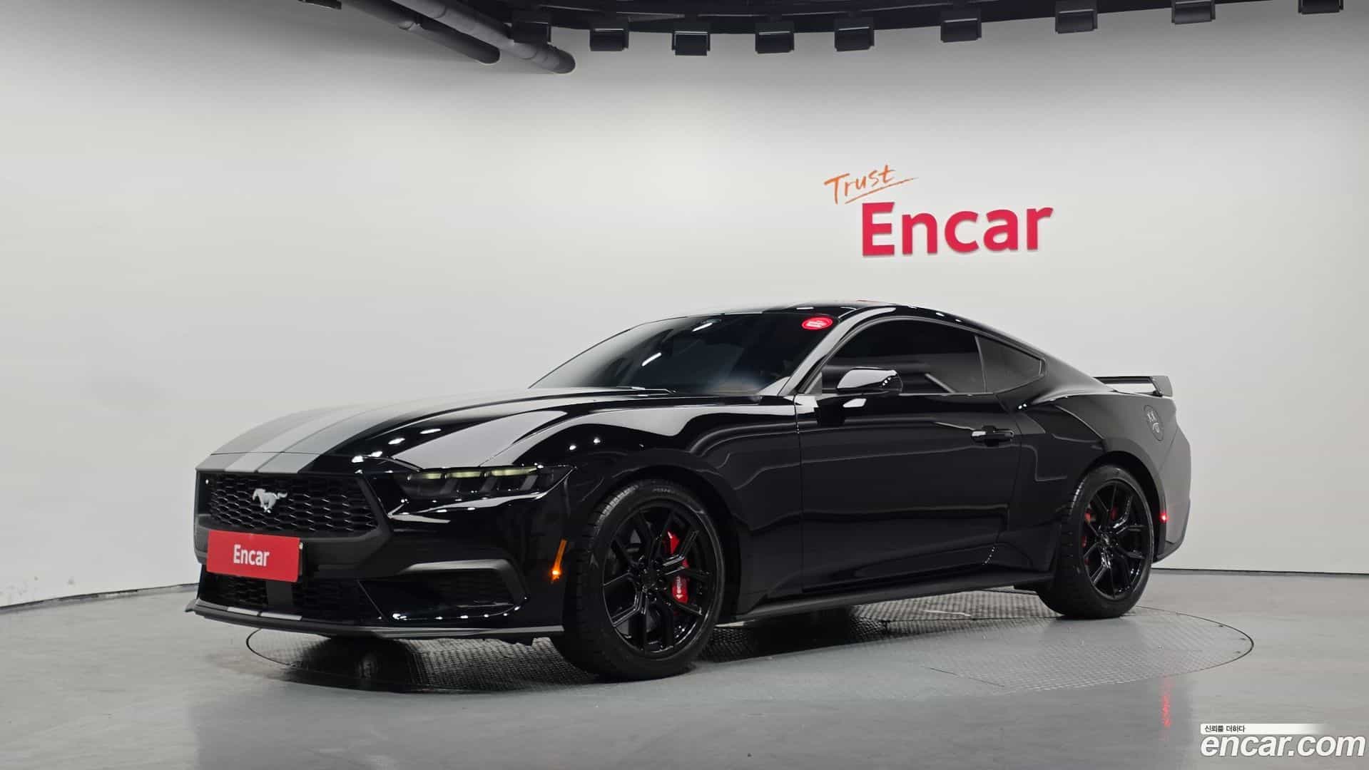 Mustang Ford 2024.9-OUTER-001