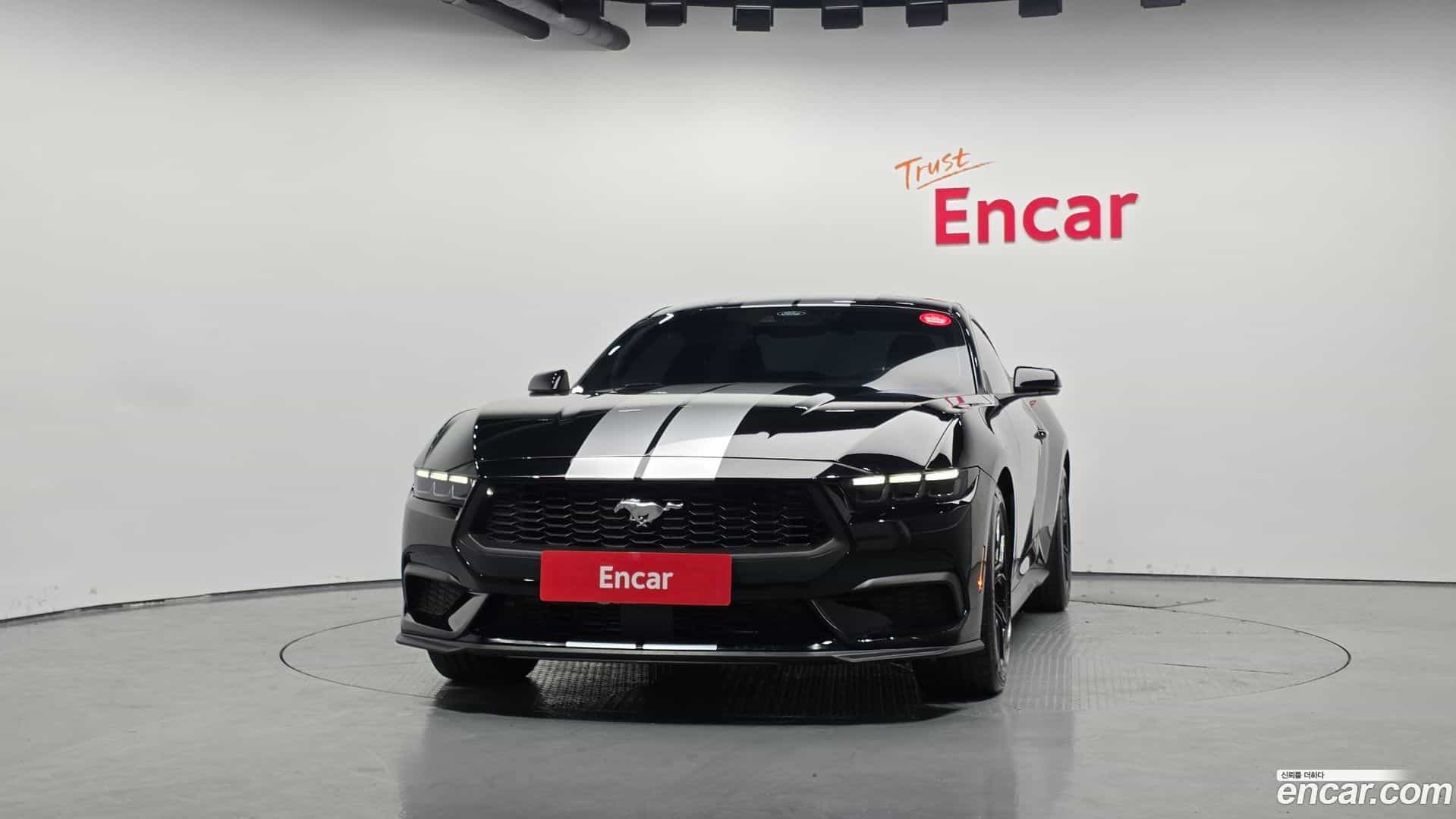 Mustang Ford 2024.9-OUTER-003