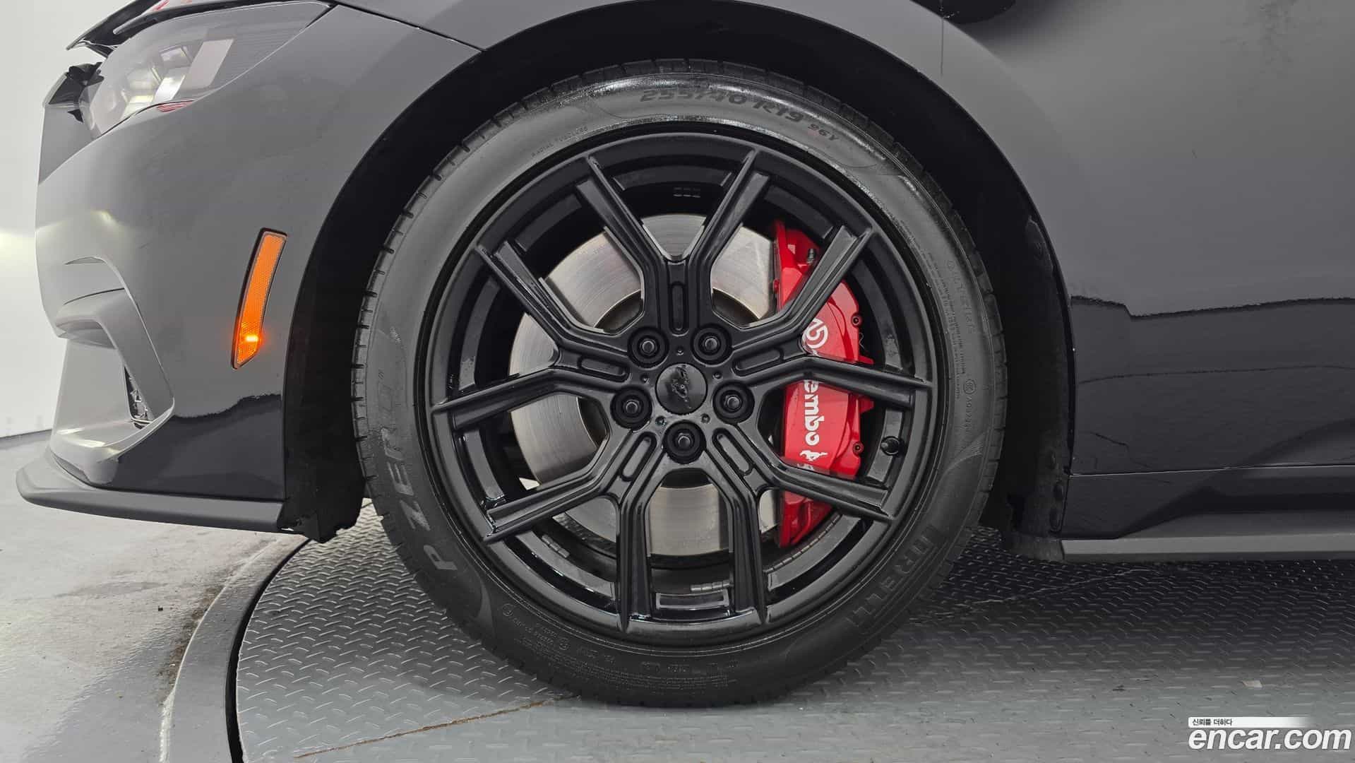 Mustang Ford 2024.9-OUTER-005