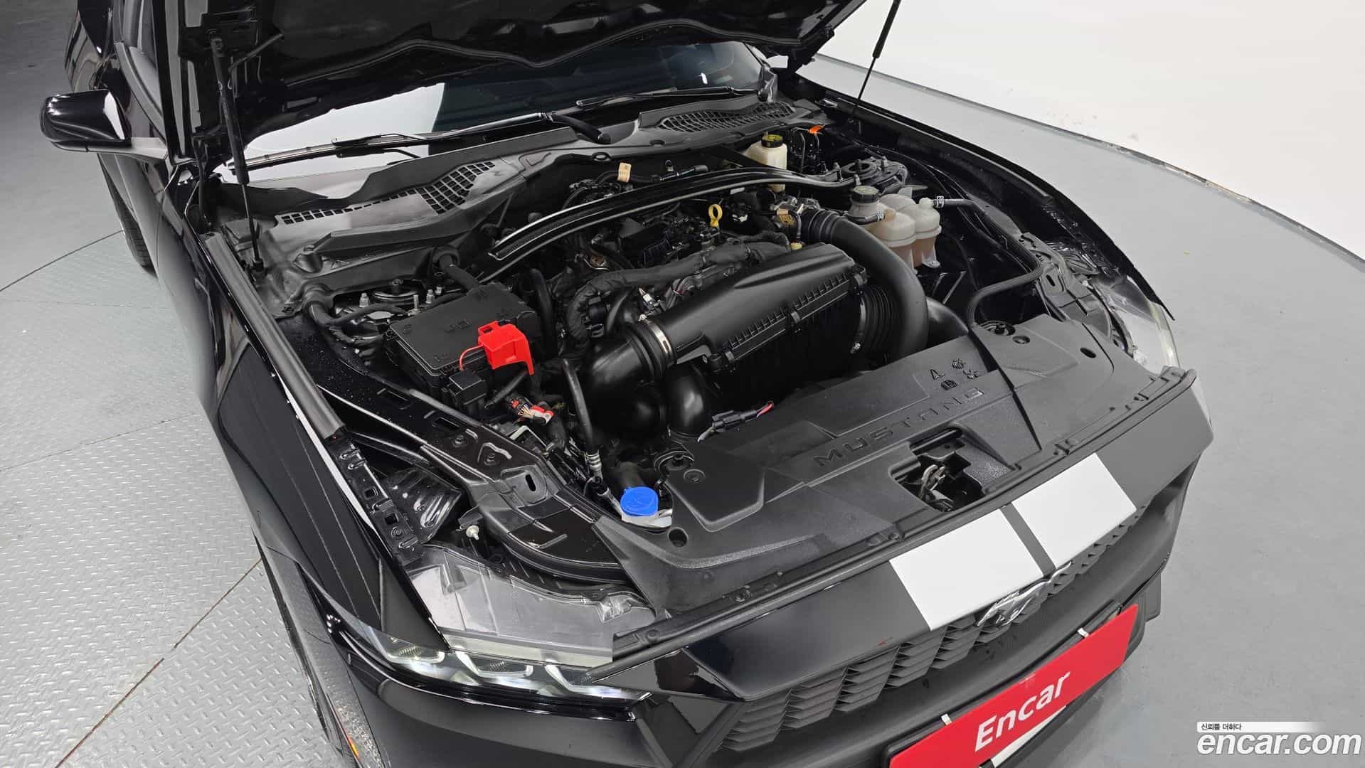 Mustang Ford 2024.9-OUTER-006