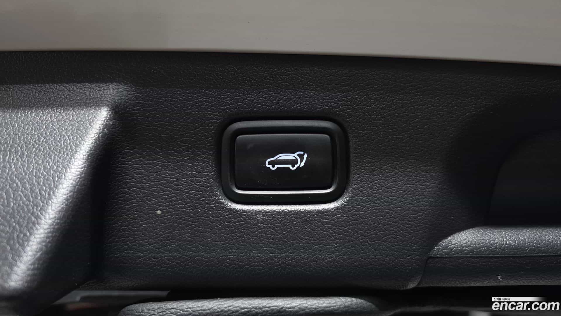 Palisade Hyundai 2020.10-OPTION-046