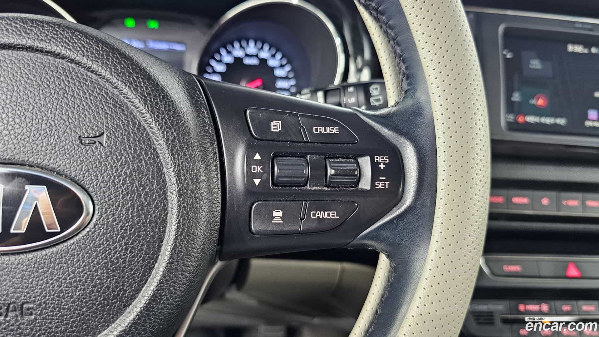 Canival Kia 2019.6-OPTION-020
