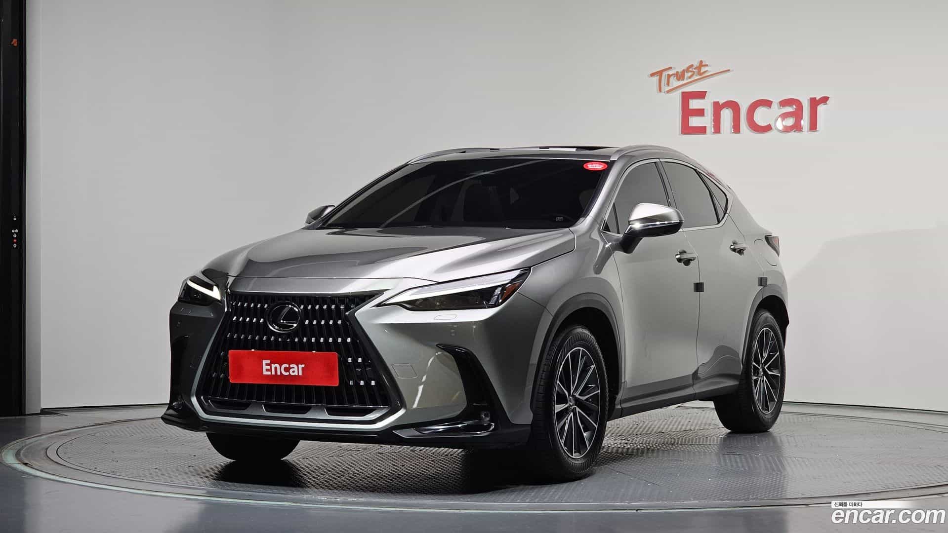 NX Lexus 2024.6-OUTER-001