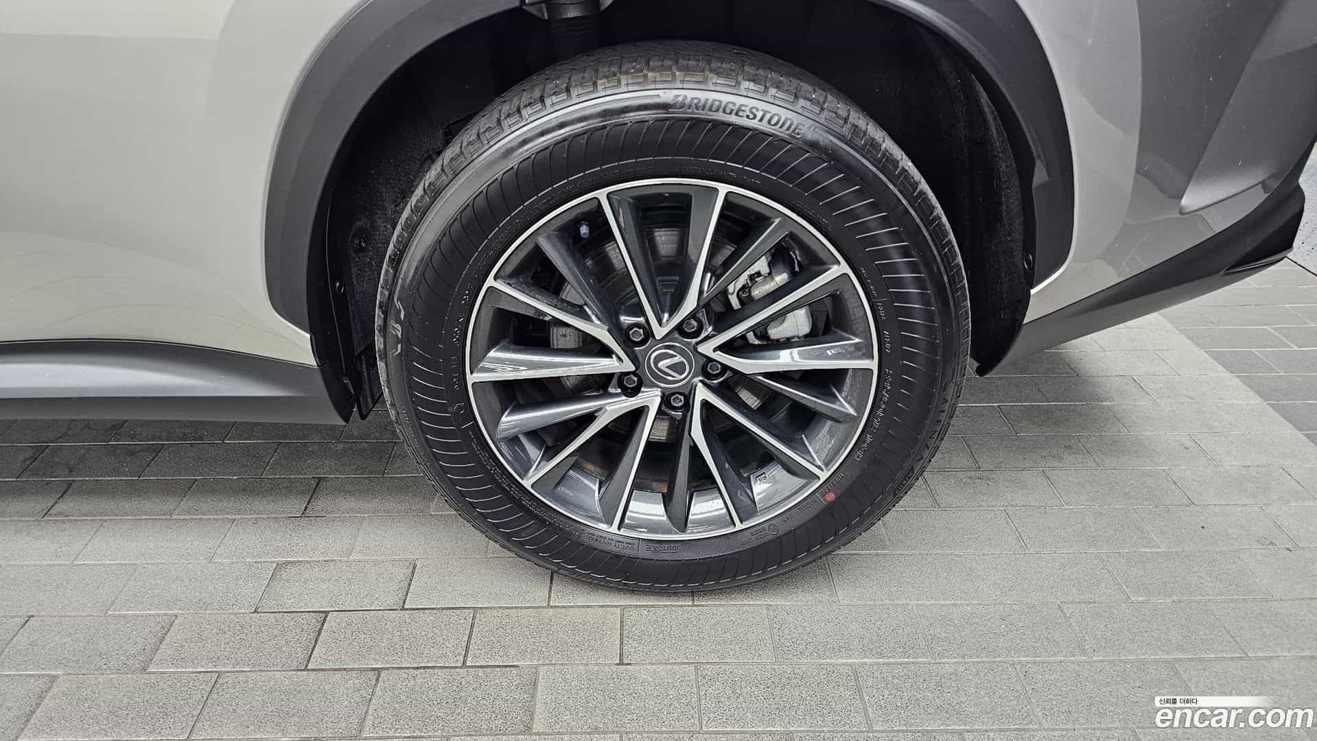 NX Lexus 2024.6-OUTER-031
