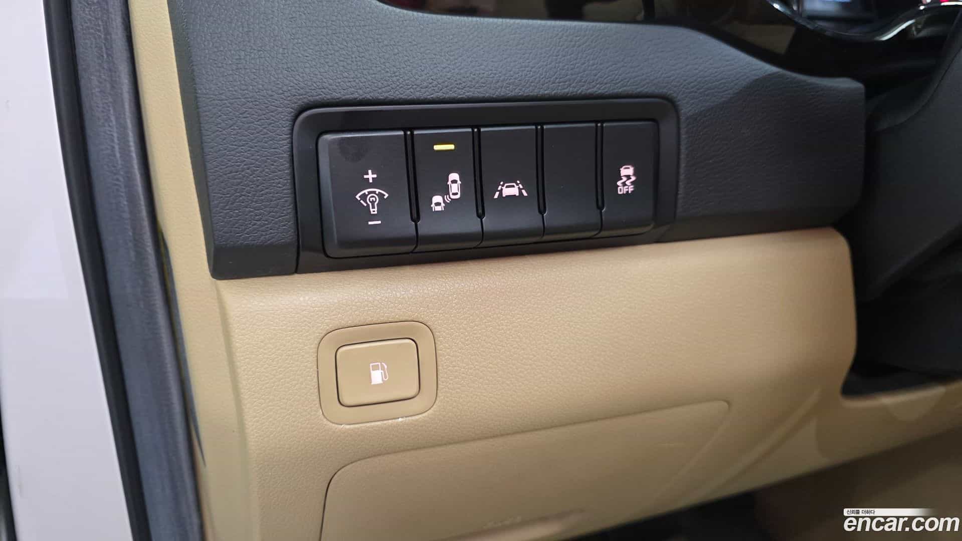 Canival Kia 2018.6-OPTION-018
