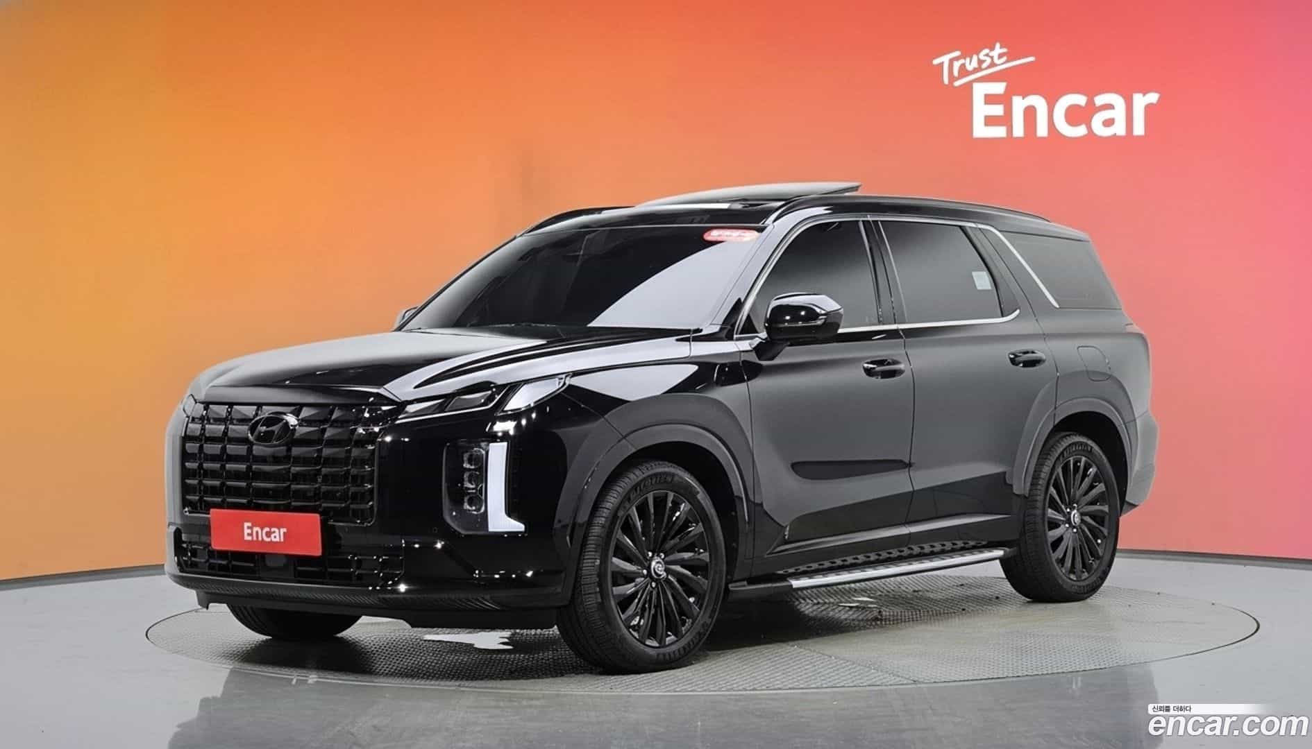 Palisade Hyundai 2024.1-DIAG2-001
