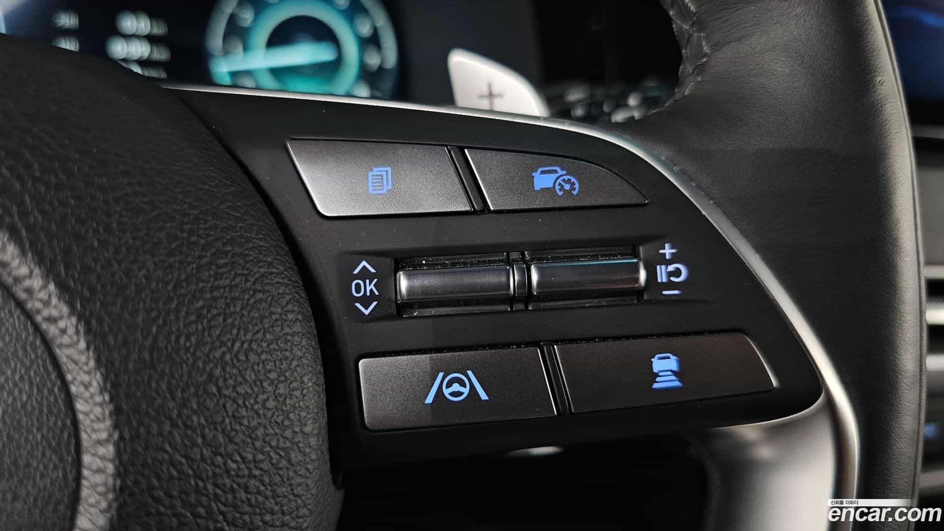 Palisade Hyundai 2024.1-OPTION-046