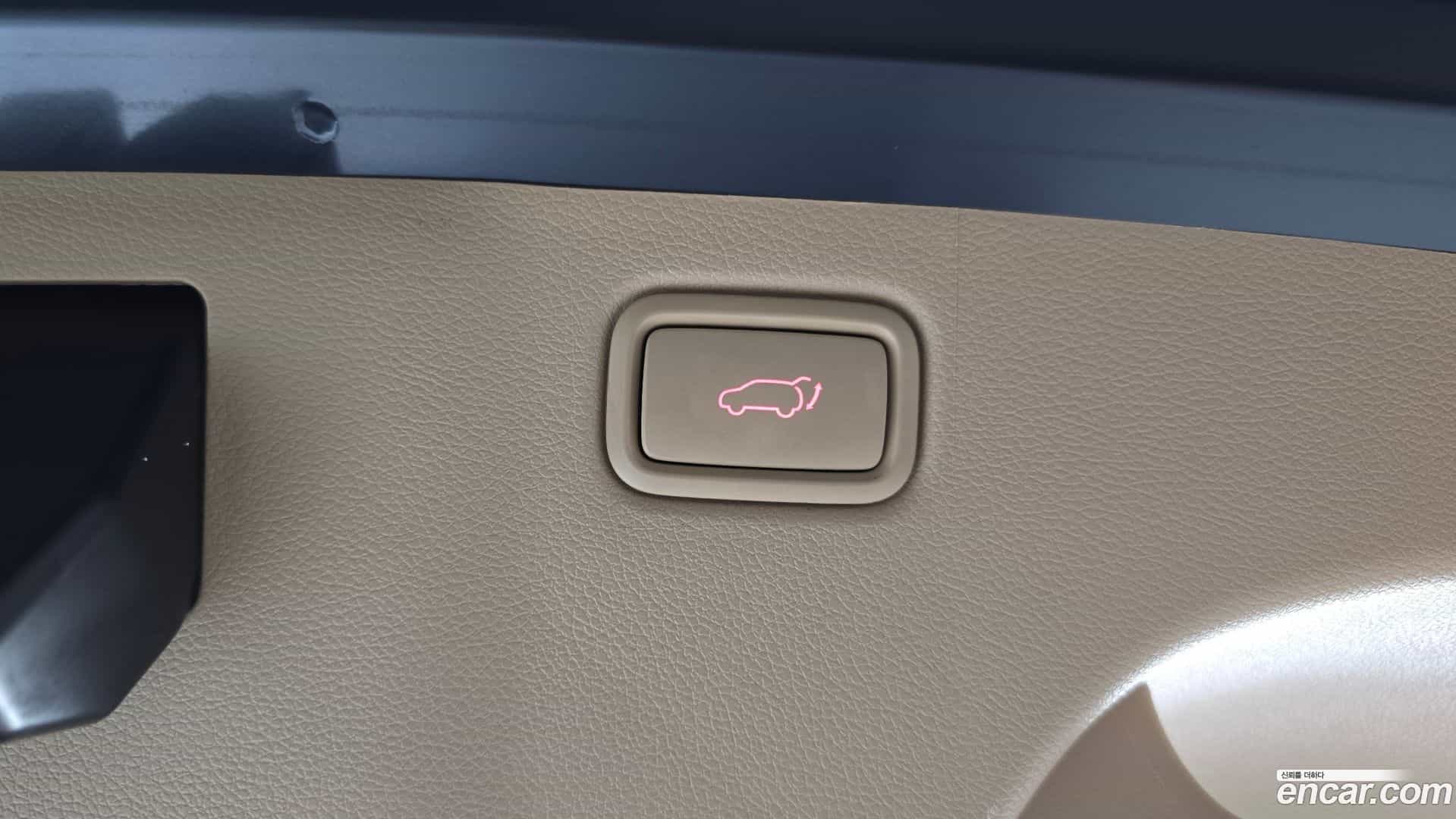 Canival Kia 2020.4-OPTION-022