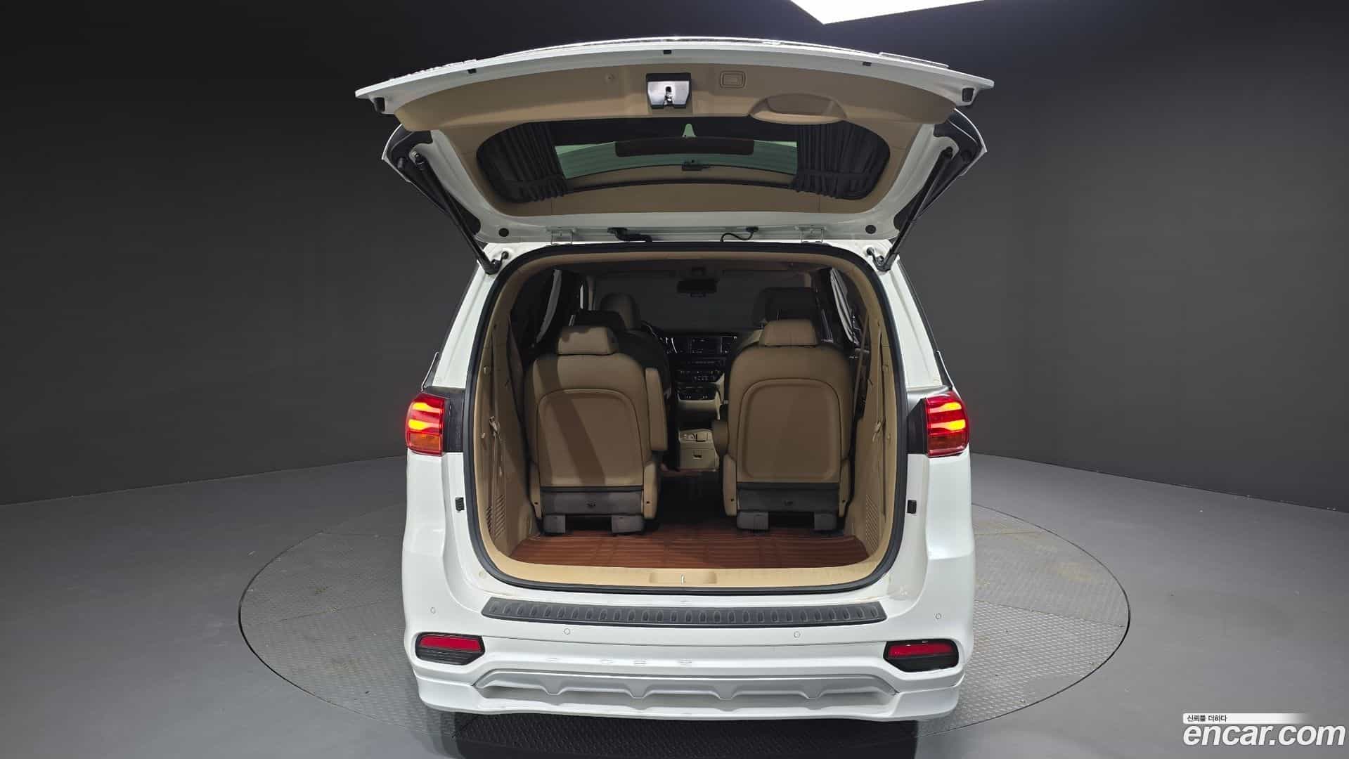 Canival Kia 2018.8-OPTION-023