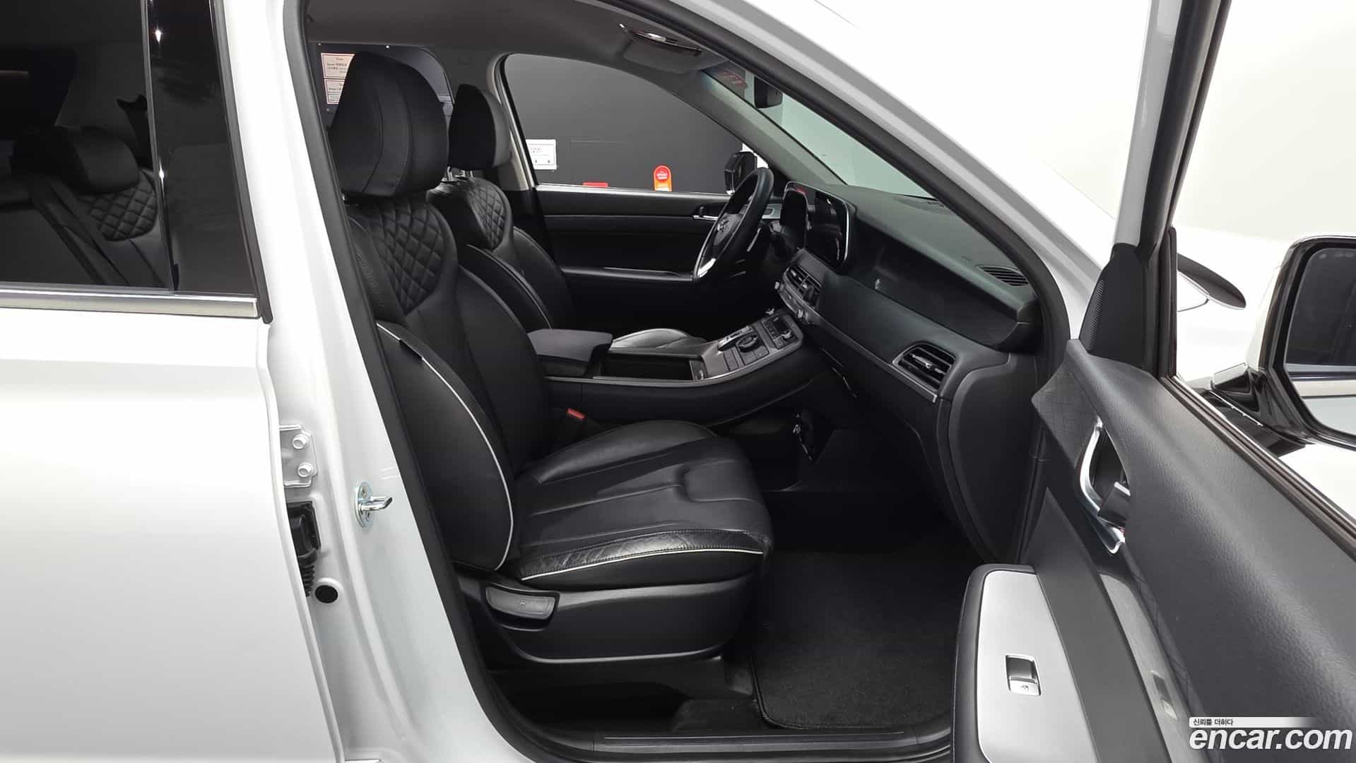 Palisade Hyundai 2020.11-OPTION-016