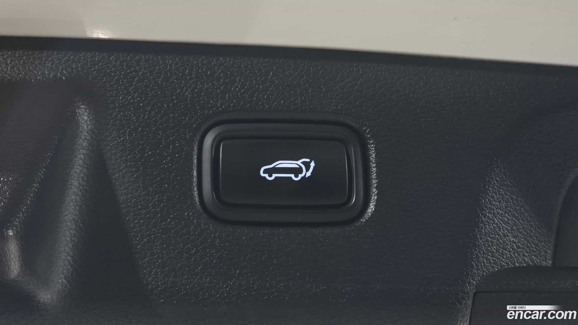 Palisade Hyundai 2020.11-OPTION-024