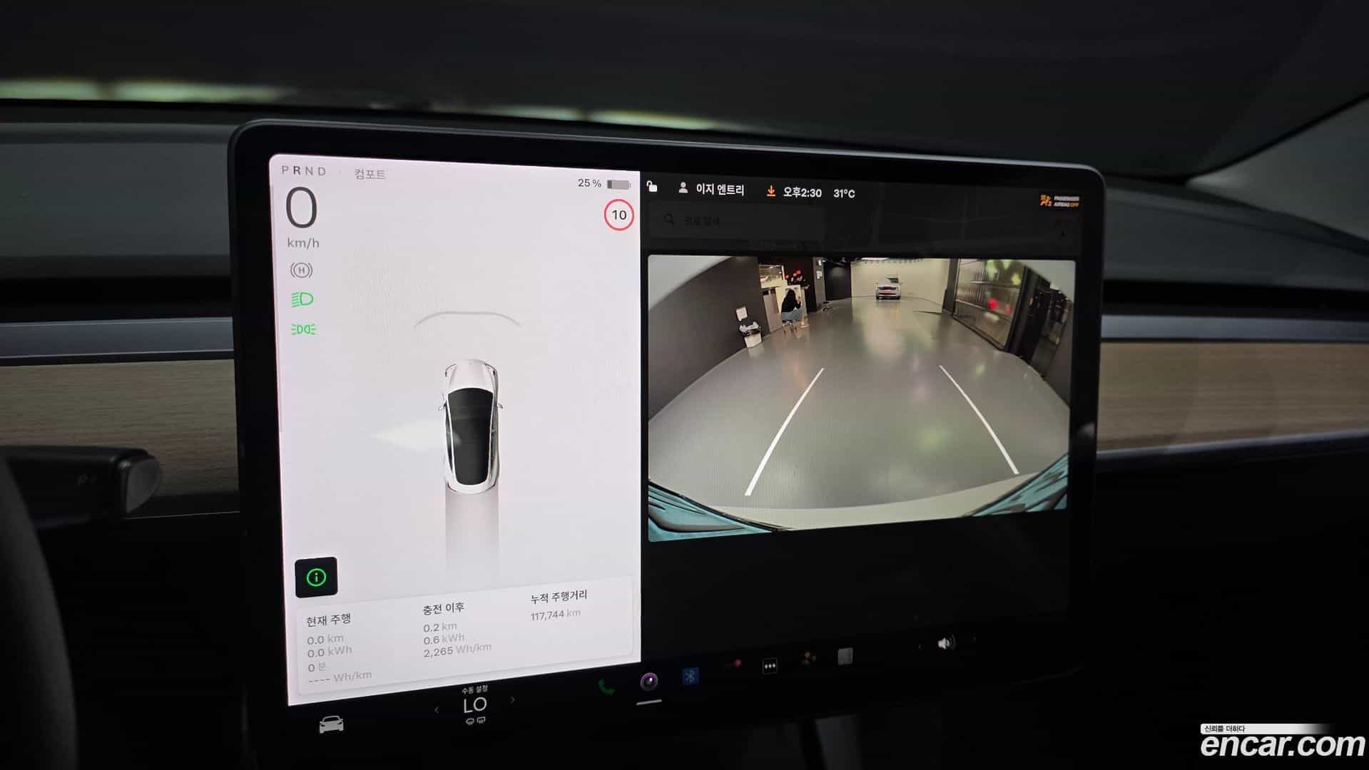 Model 3 Tesla 2021.5-OPTION-019