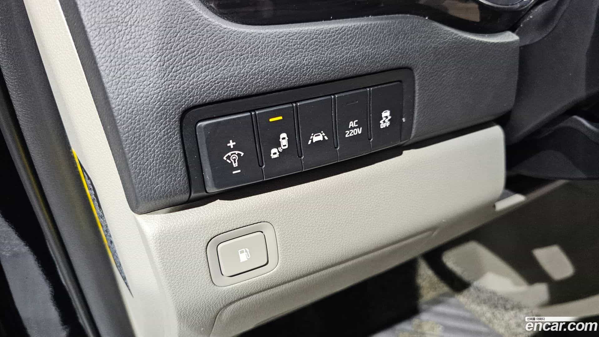 Canival Kia 2019.9-OPTION-023