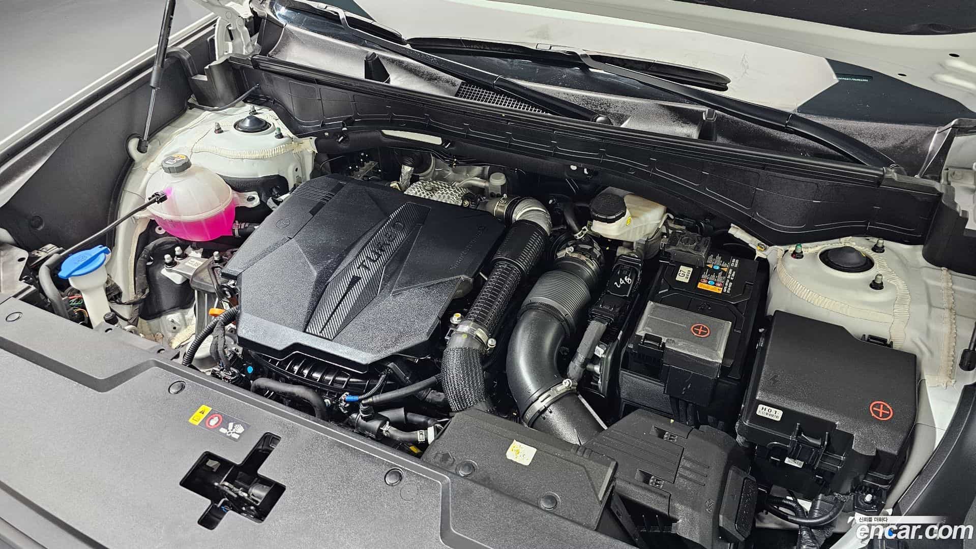Santafe Hyundai 2024.6-OUTER-006
