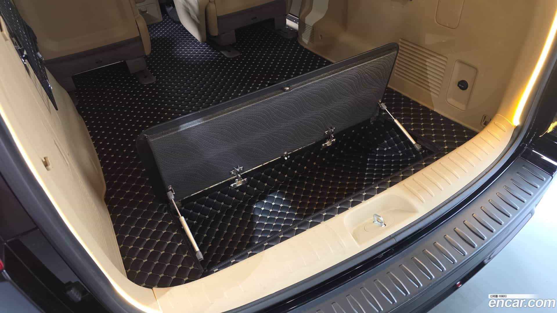 Canival Kia 2019.1-OPTION-019