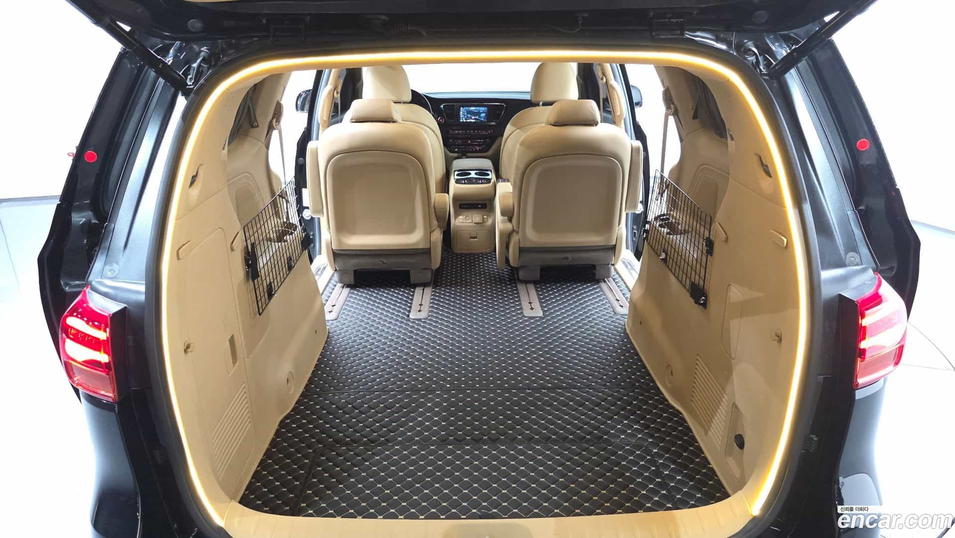 Canival Kia 2019.1-OPTION-021