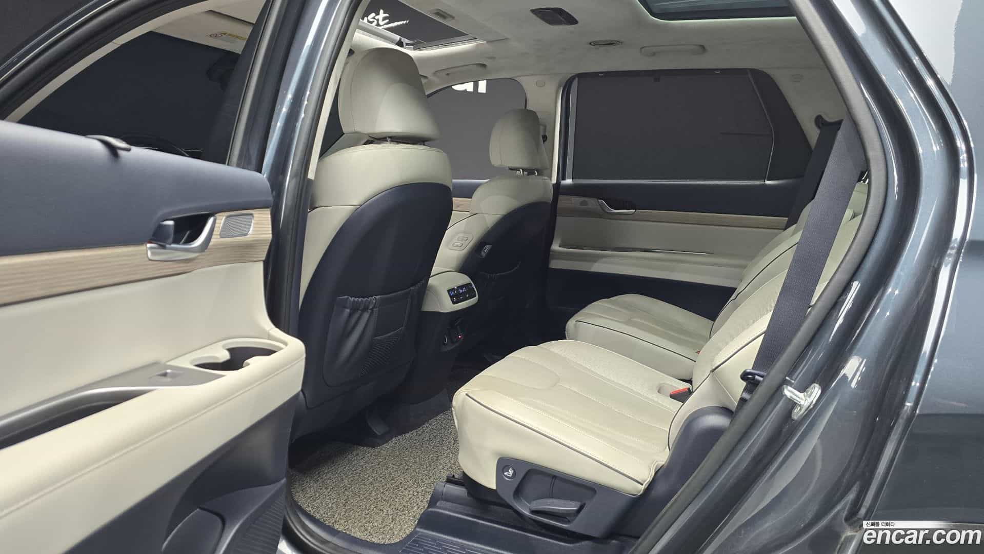 Palisade Hyundai 2019.1-OPTION-016
