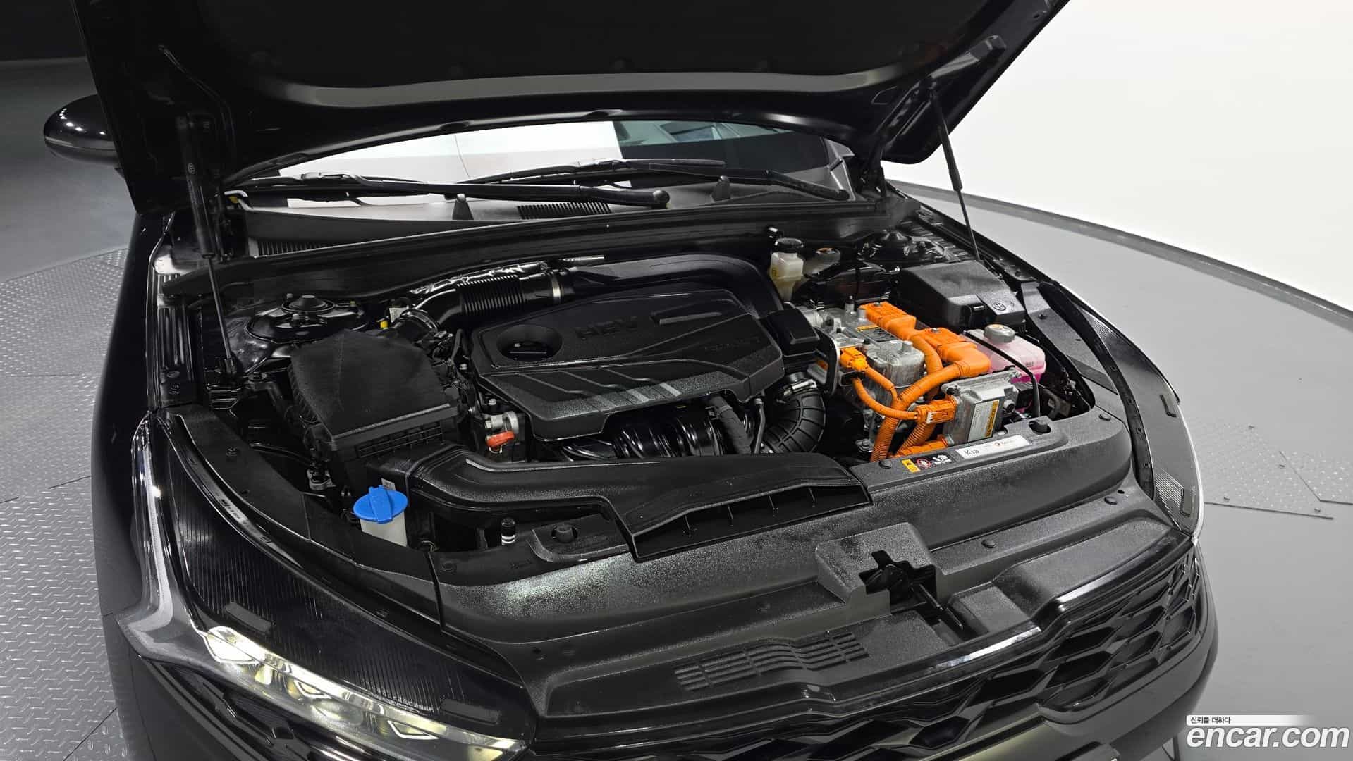 K5 Kia 2022.0-OUTER-006