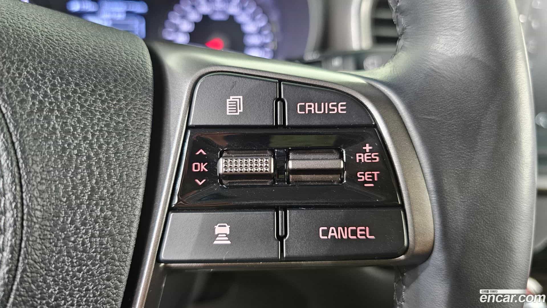 Sorento Kia 2019.11-OPTION-019