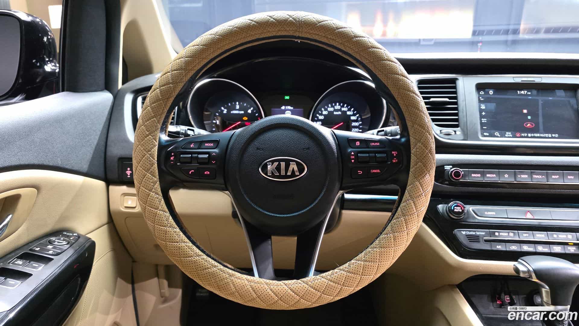 Canival Kia 2018.11-OPTION-017