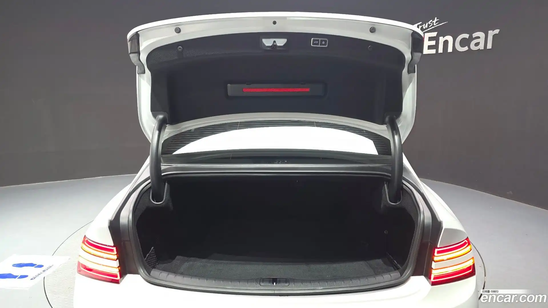 G80 Genesis 2021.1-OPTION-021