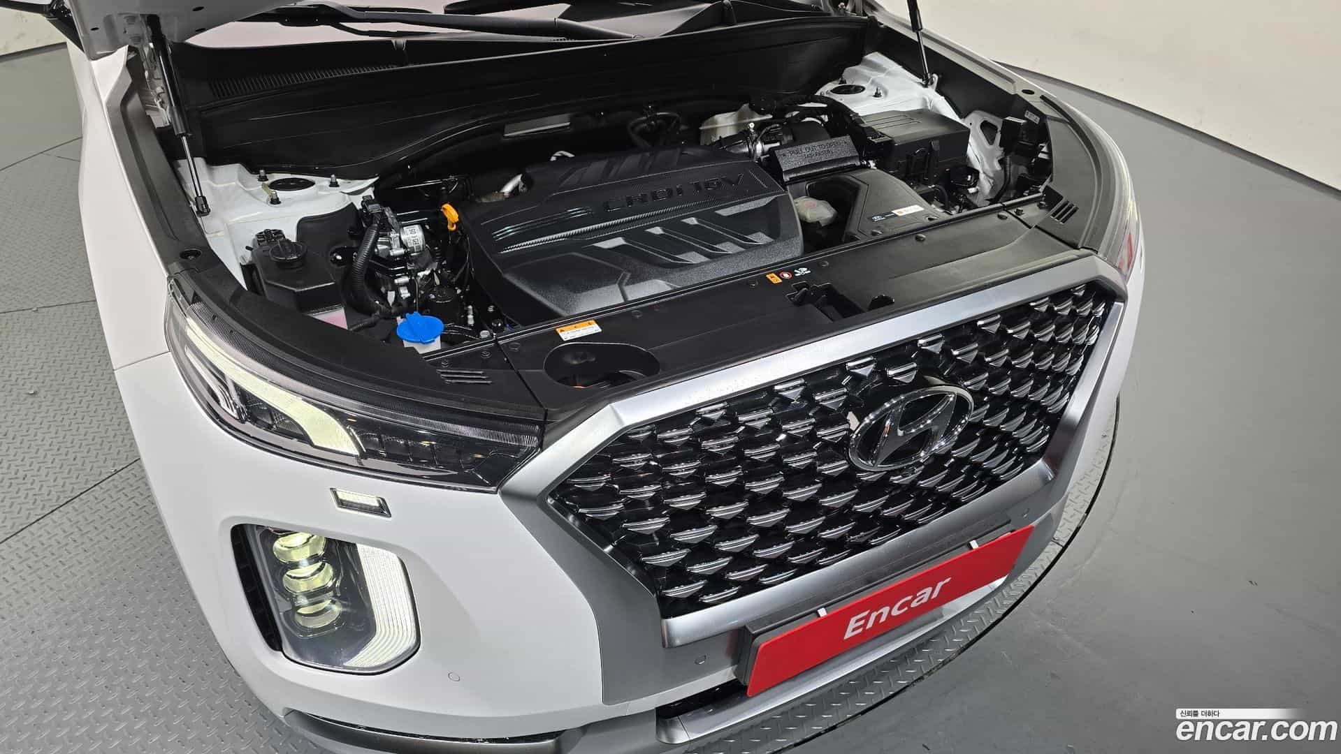 Palisade Hyundai 2020.10-OUTER-006