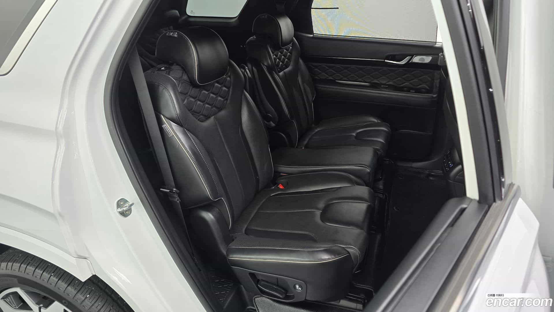 Palisade Hyundai 2020.10-OPTION-015