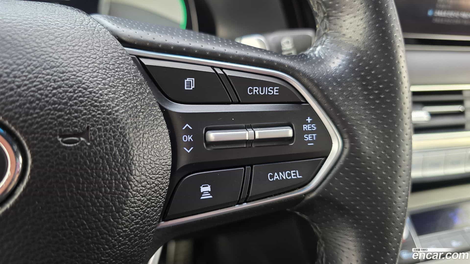 Palisade Hyundai 2020.10-OPTION-021