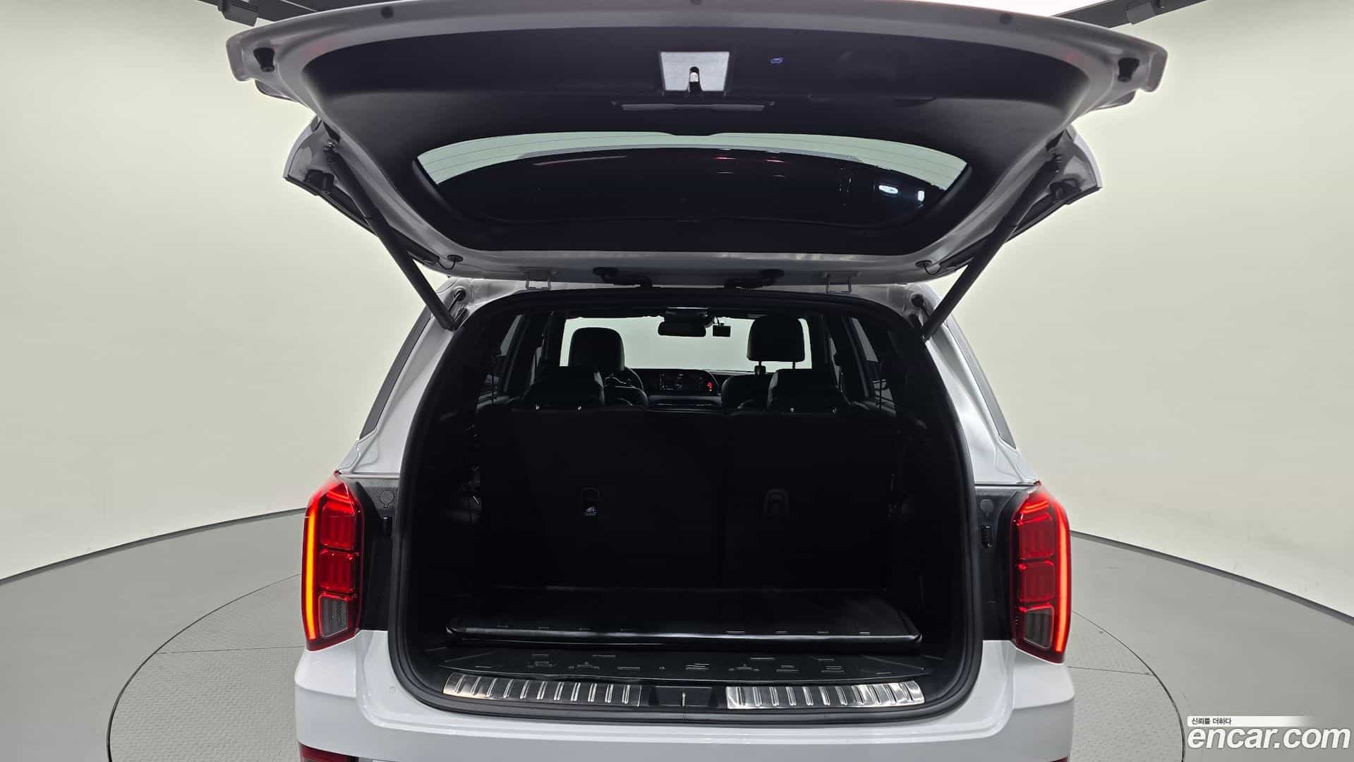 Palisade Hyundai 2020.10-OPTION-024
