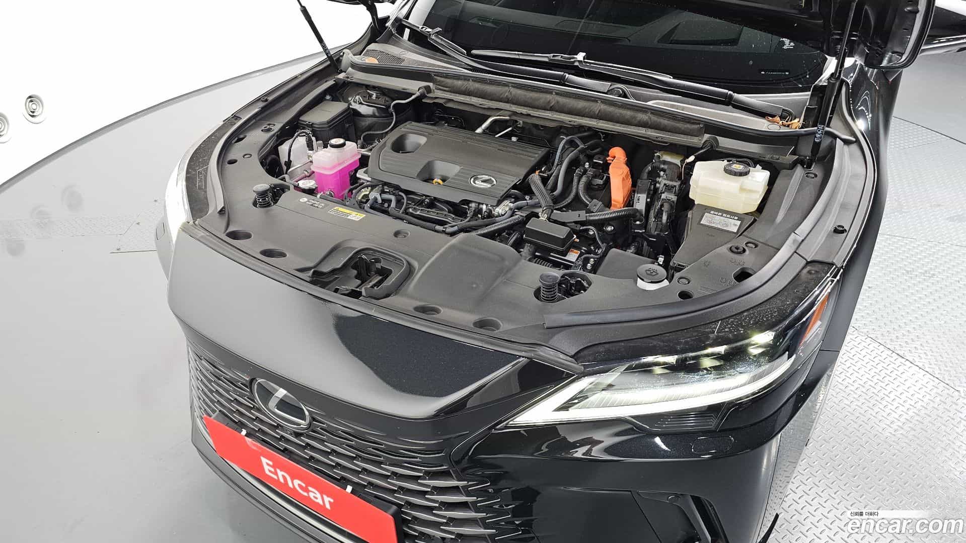 RX Lexus 2025.6-OUTER-006