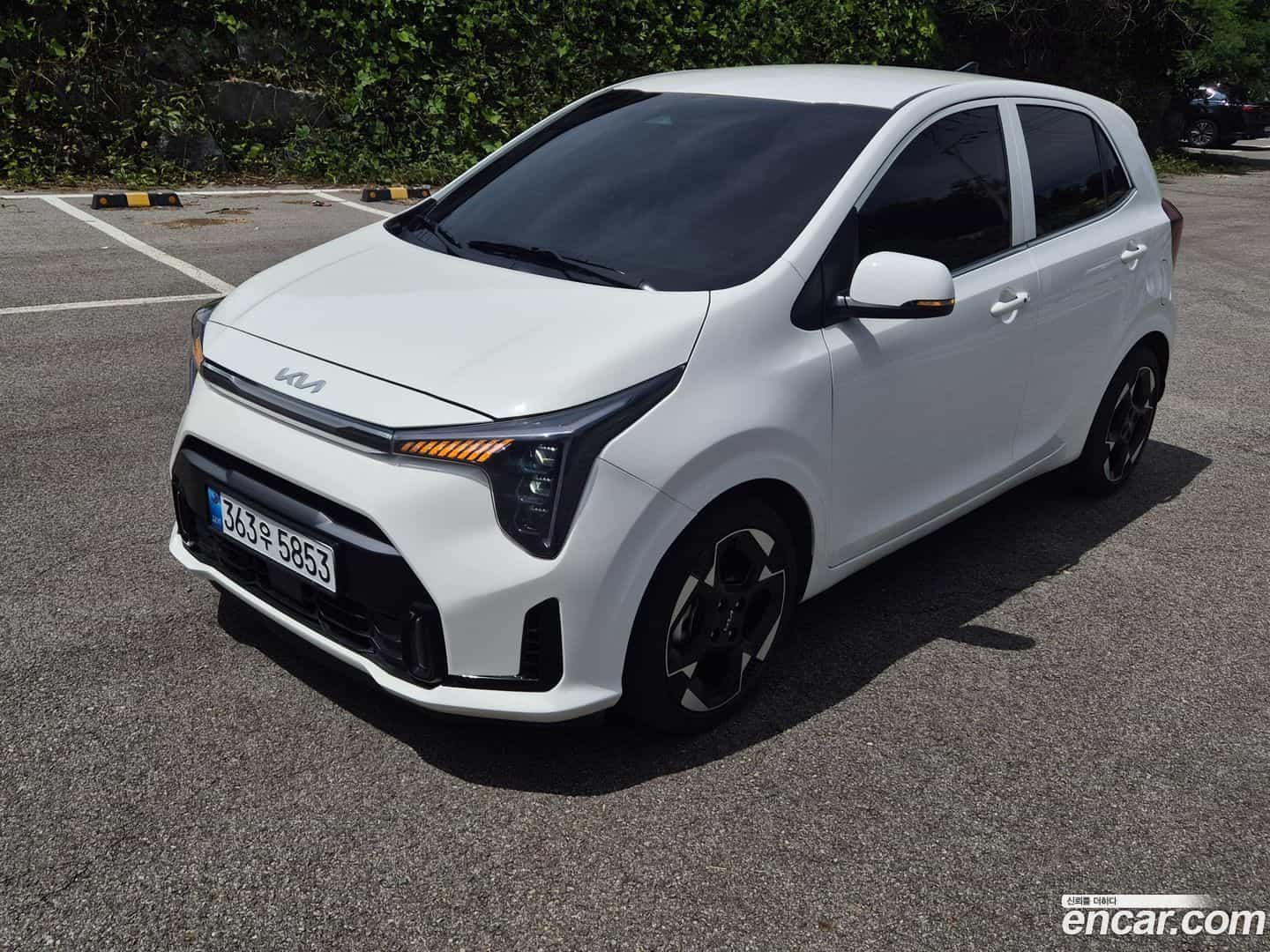 morning Kia 2026.0-OUTER-001