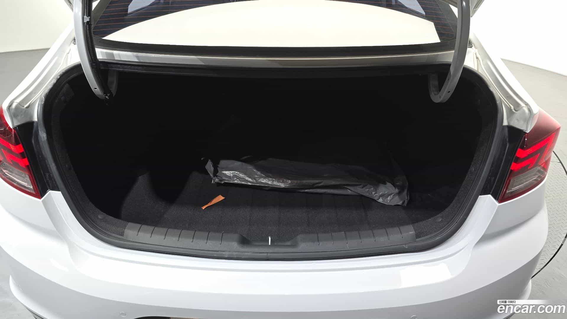 AVANTE Hyundai 2019.0-OPTION-018