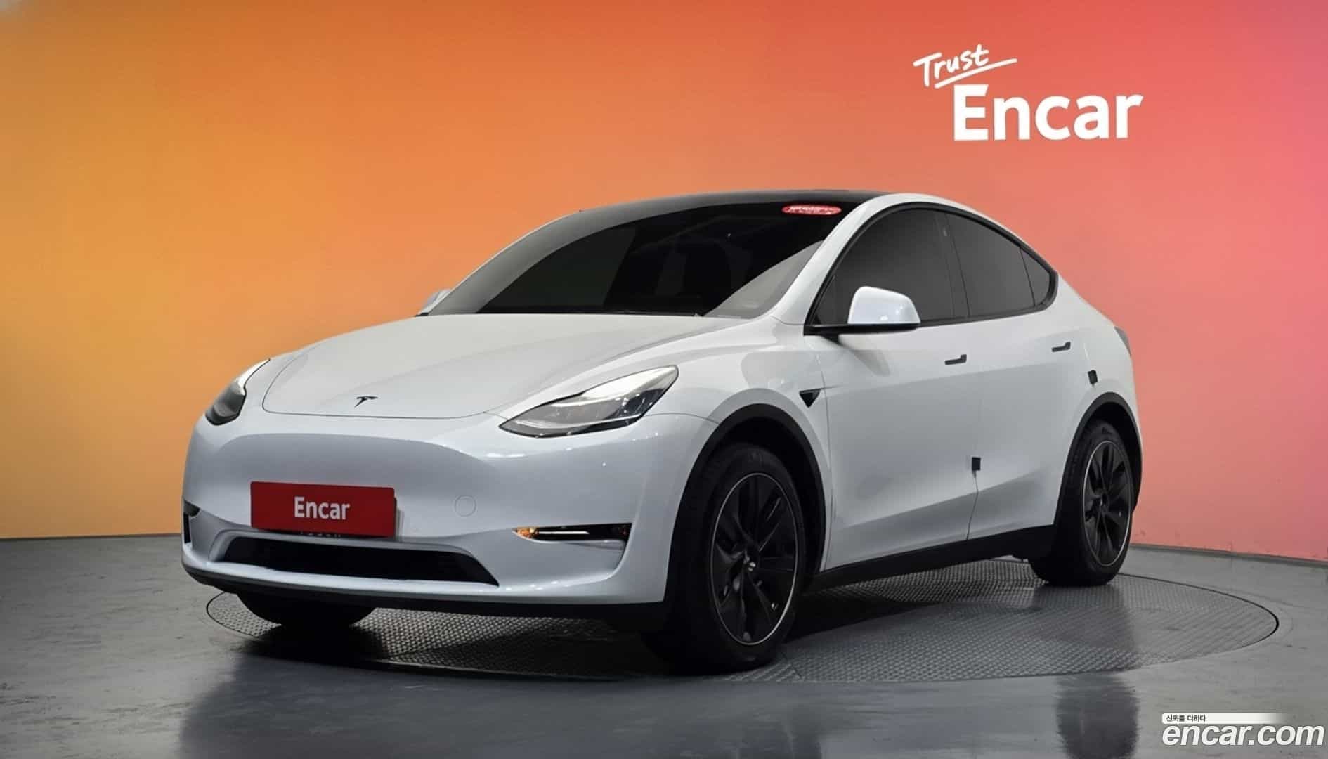 Model Y Tesla 2021.8-DIAG2-001
